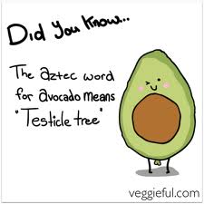 avocado
